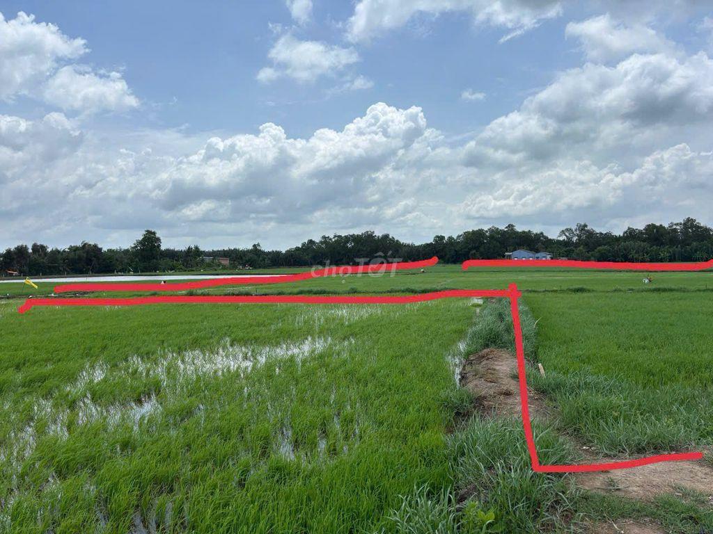 Cần bán 5662 m2 đất nông nghiệp ven sông tại ấp 3, Tân Phước Tây