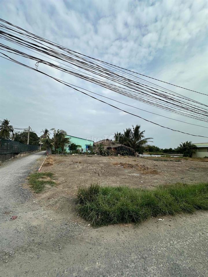[GẤP] ĐẤT ĐẸP GIÁ TỐT- SHR CẦN ĐƯỚC - LONG AN