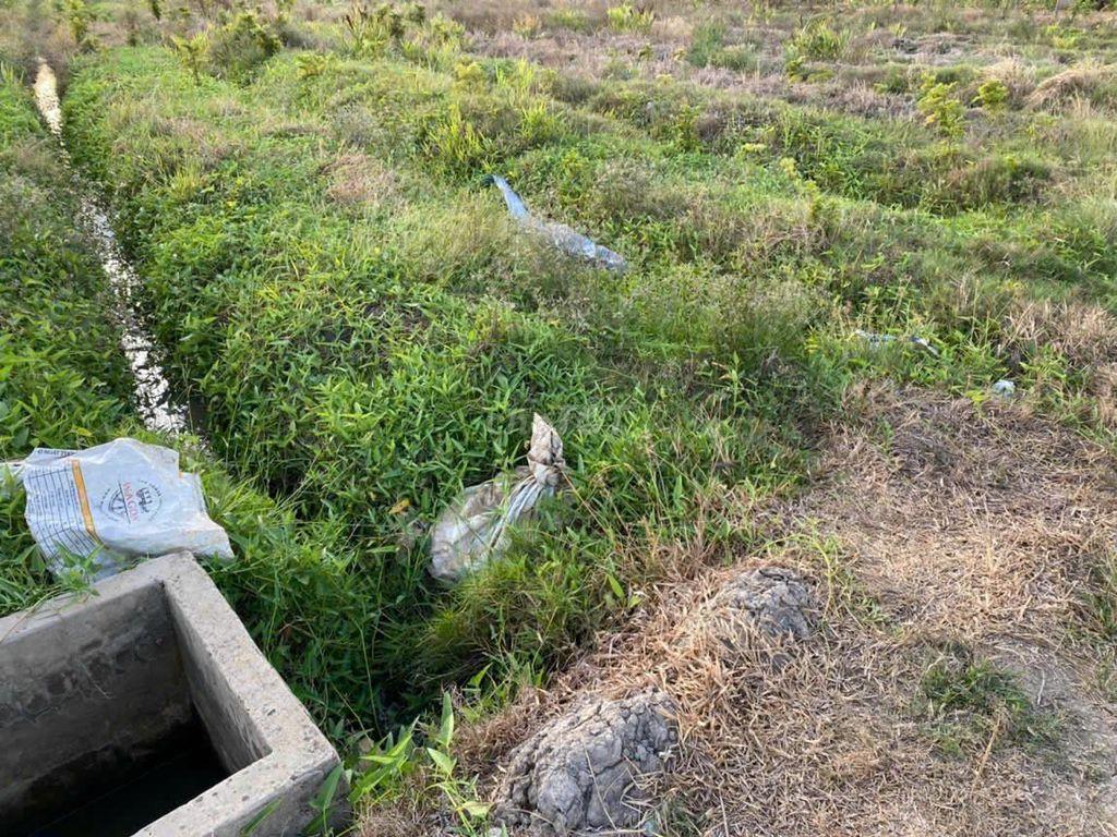 Bán đất lúa khu Nhơn Thạnh Trung-Tân An, ô tô vào tới đất, thông DT833