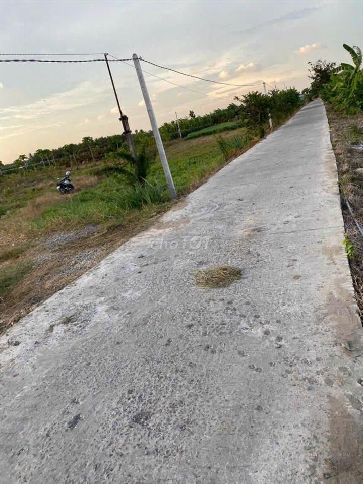 Bán đất lúa khu Nhơn Thạnh Trung-Tân An, ô tô vào tới đất, thông DT833