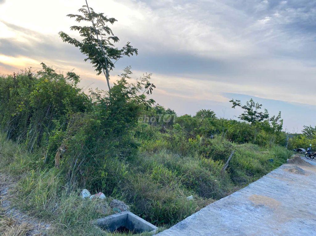 Bán đất lúa khu Nhơn Thạnh Trung-Tân An, ô tô vào tới đất, thông DT833