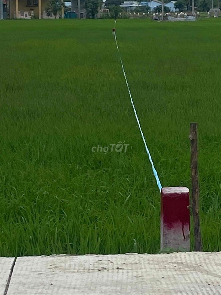 Bán đất Lúa