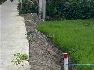 Bán đất Lúa