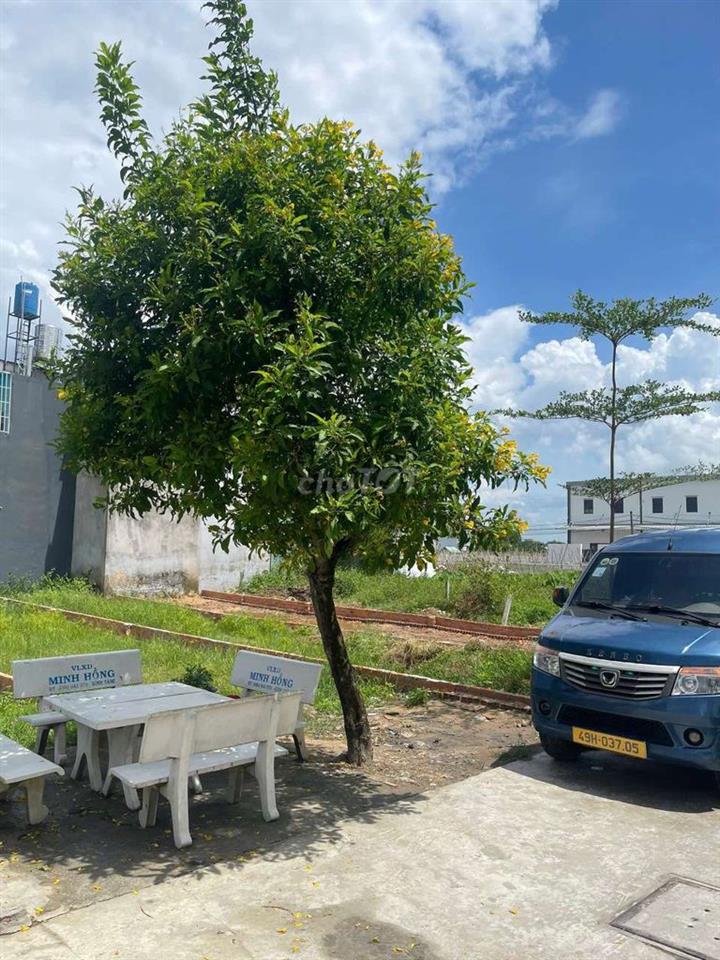 Cần bán gấp lô đất giáp Hóc Môn gần Ngã 3 Mỹ Hạnh
