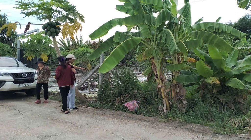 Bán đất nền thổ cư 299, 7m2