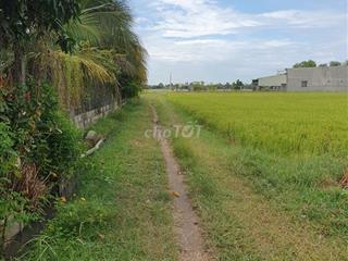 Bán đất thổ cư sổ riêng 