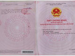 BÁN GẤP ĐẤT THỔ CƯ 174M² – AN NINH TÂY, ĐỨC HÒA – GIÁ 1 TỶ 2