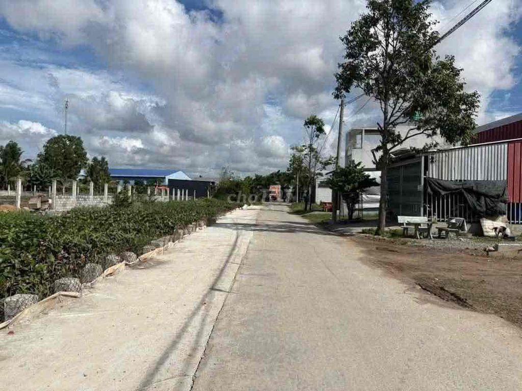 Đất cầu tràm giá đẹp khu dân cư hiện hữu