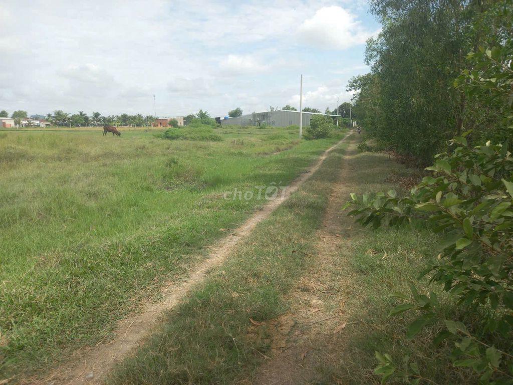 Bán đất thổ cư ở Bàu Sen, Đức Lập Hạ, Đức Hoà,  Long An