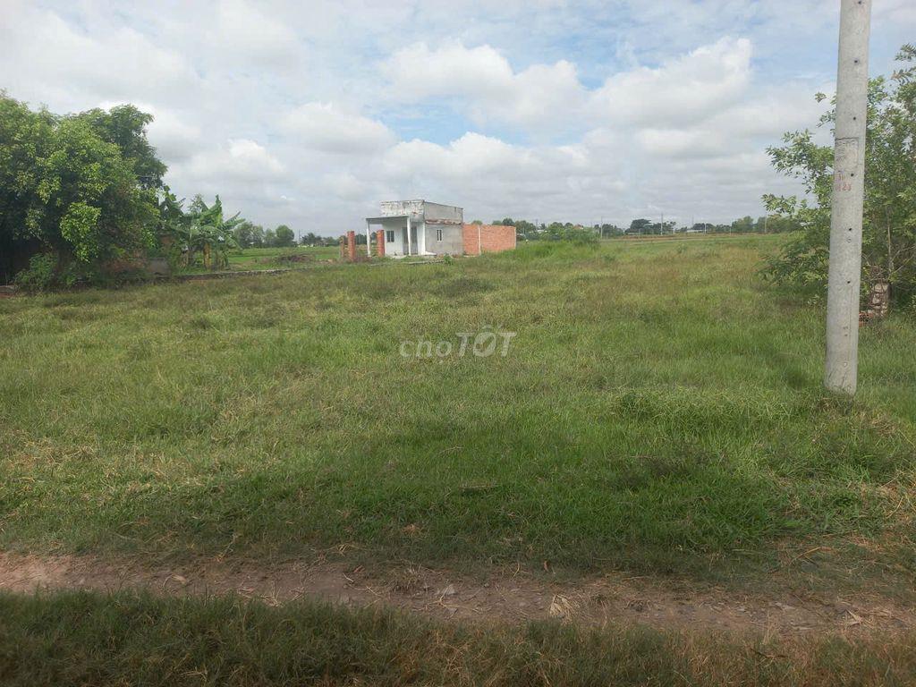 Bán đất thổ cư ở Bàu Sen, Đức Lập Hạ, Đức Hoà,  Long An
