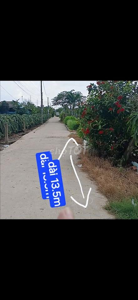 800m2 thổ cư( 56mx15m) có 102 Châu Thành Long An cũ 1.8 tỷ, phân 7 nền