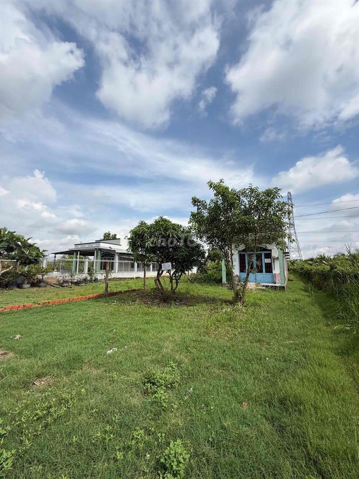 Bán đất 245m2 sổ hồng riêng chính chủ - tặng nhà cấp 4