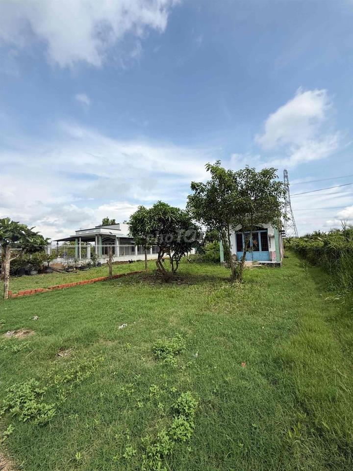 Bán đất 245m2 sổ hồng riêng chính chủ - tặng nhà cấp 4