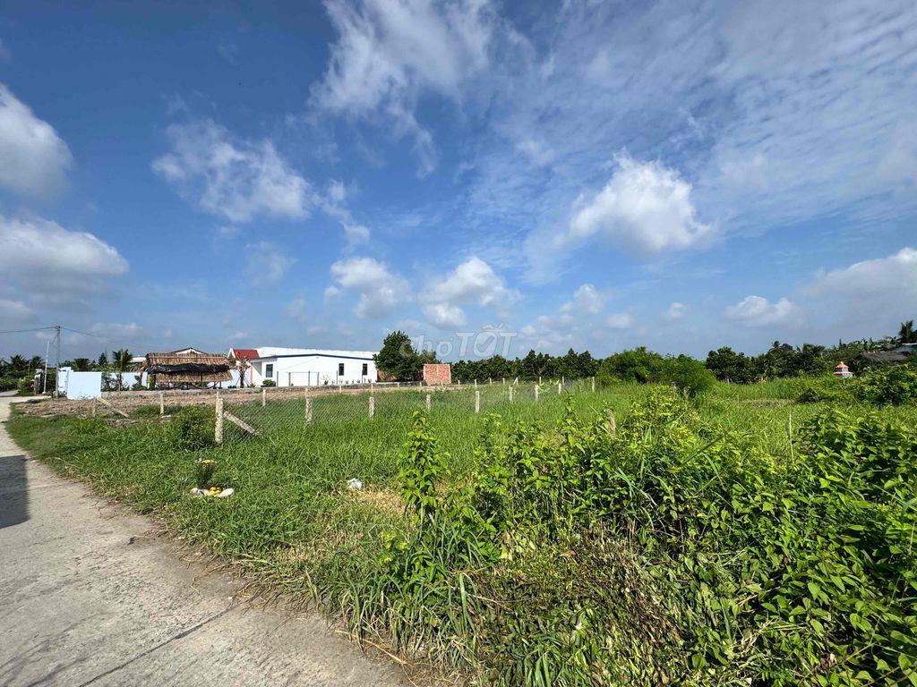 BÁN ĐẤT THỔ CƯ 100% – 256M² – TẦM VU, CHÂU THÀNH, LONG AN