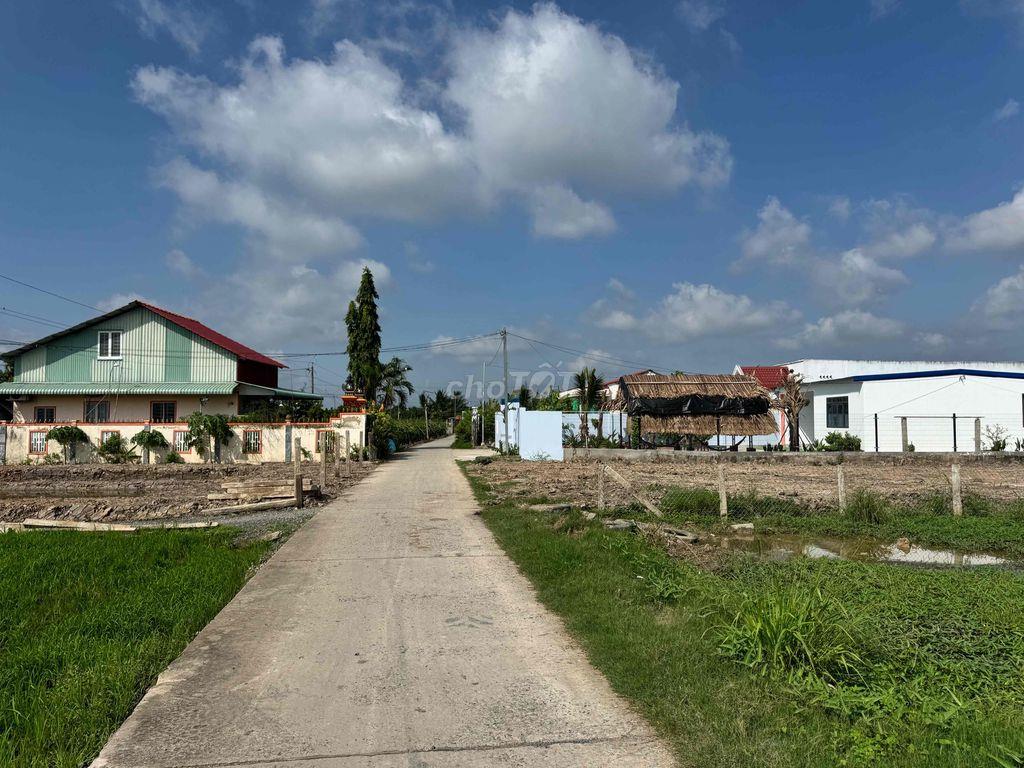 BÁN ĐẤT THỔ CƯ 100% – 256M² – TẦM VU, CHÂU THÀNH, LONG AN