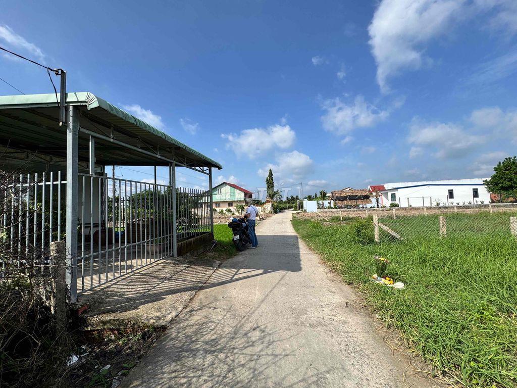 BÁN ĐẤT THỔ CƯ 100% – 256M² – TẦM VU, CHÂU THÀNH, LONG AN