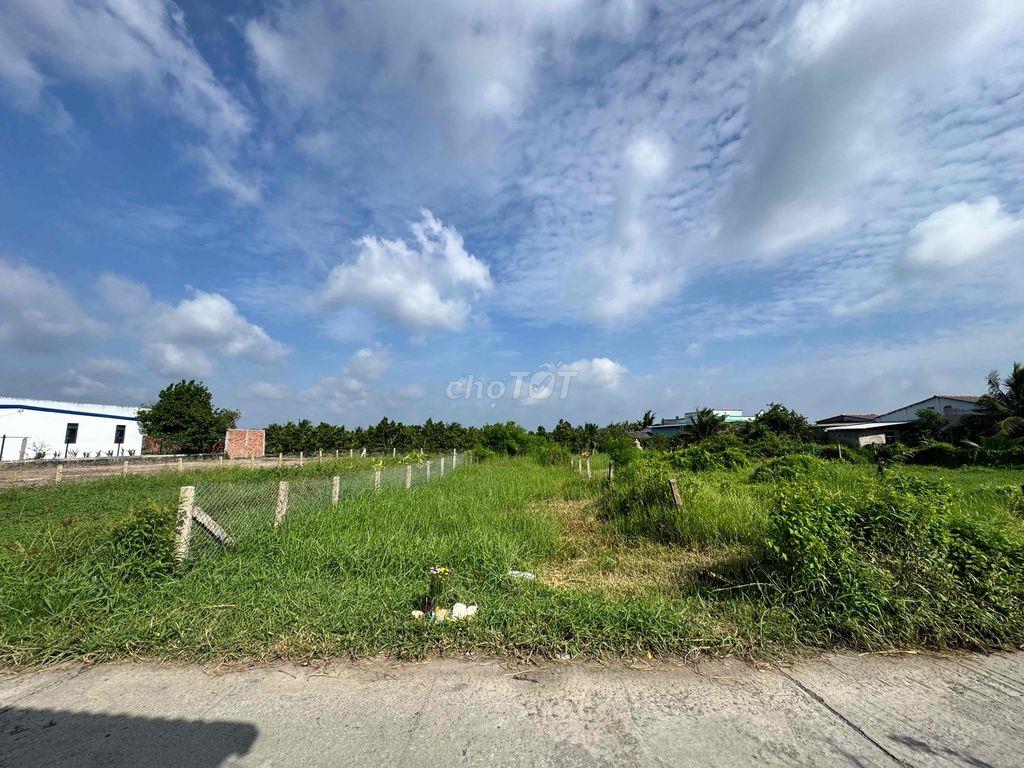 BÁN ĐẤT THỔ CƯ 100% – 256M² – TẦM VU, CHÂU THÀNH, LONG AN