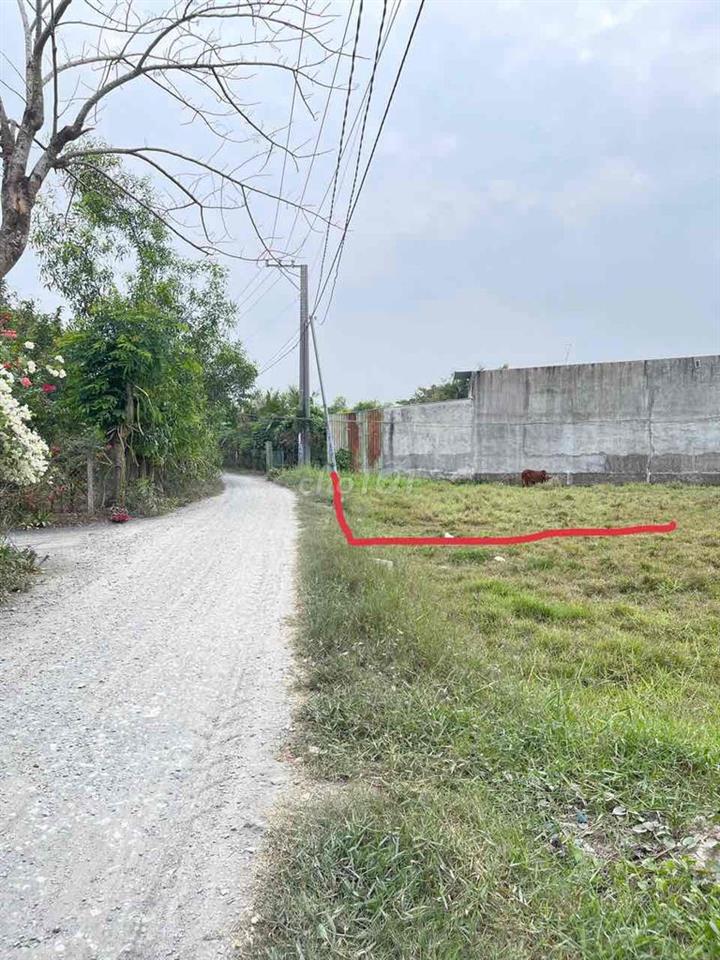chinh chủ bán đất 5X60