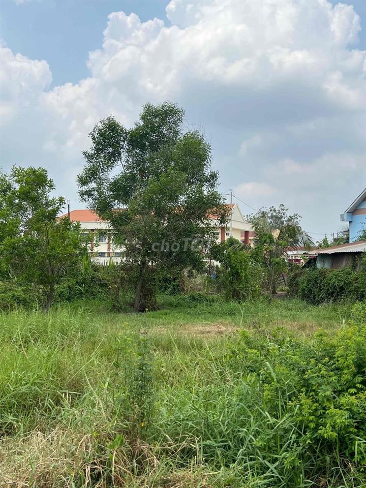 Bán đất thổ cư ngay trung tâm Hậu nghĩa Long An