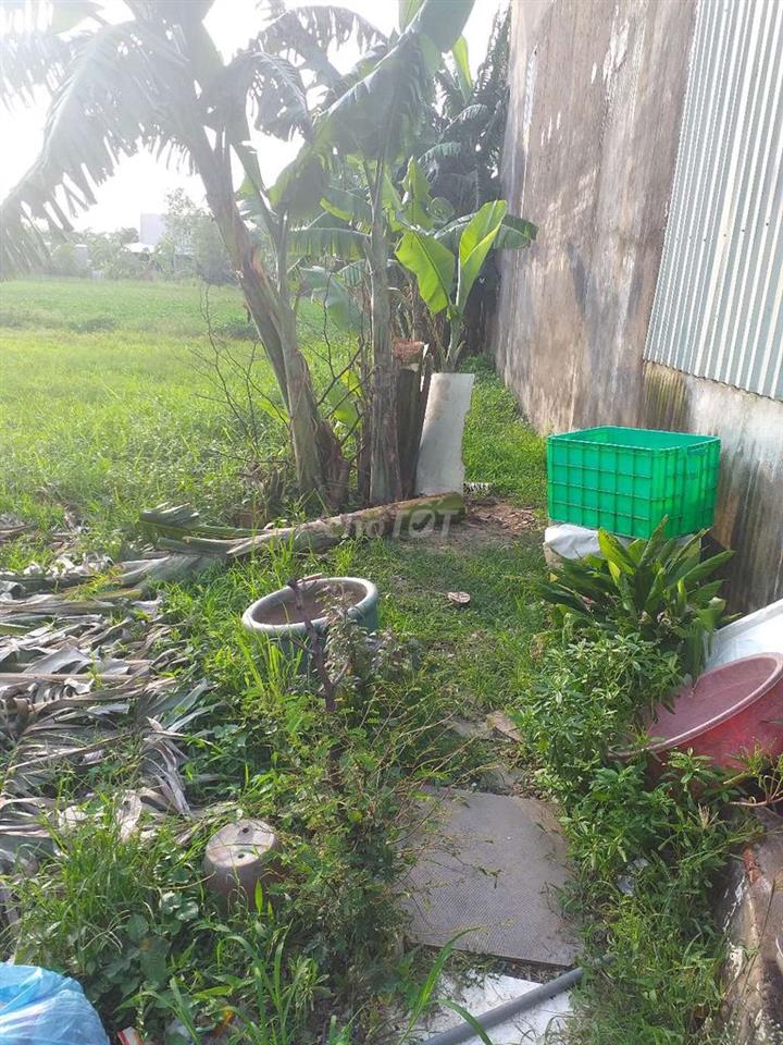 ấp long thới phạm thị nhiều xã long thượng huyện cần giuộc long an