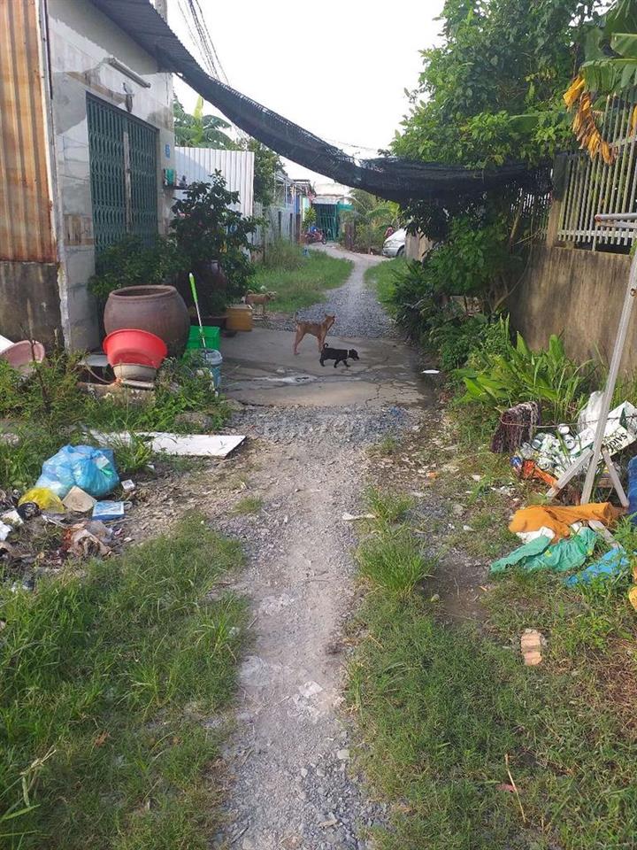 ấp long thới phạm thị nhiều xã long thượng huyện cần giuộc long an