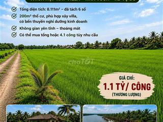 BÁN ĐẤT GIÁP SÔNG VÀM CỎ