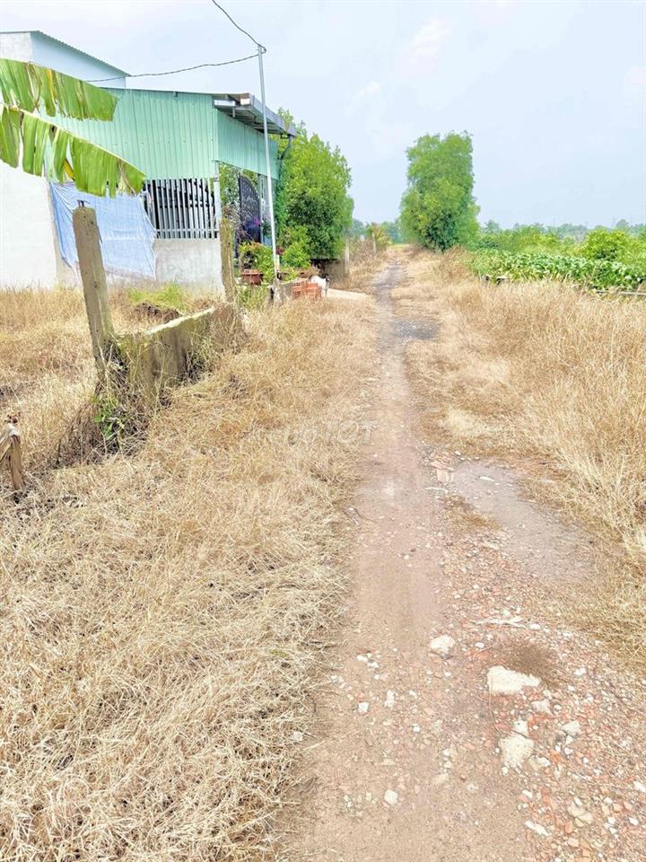 ĐẤT THỔ RẺ BÈO CHỢ ĐỨC HOÀ