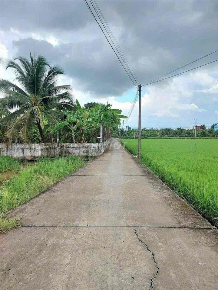 Đất cực hót khu công chức - văn phòng Tân An
