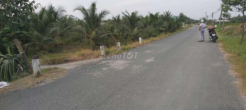 đất đang trồng 1 số dừa an trái