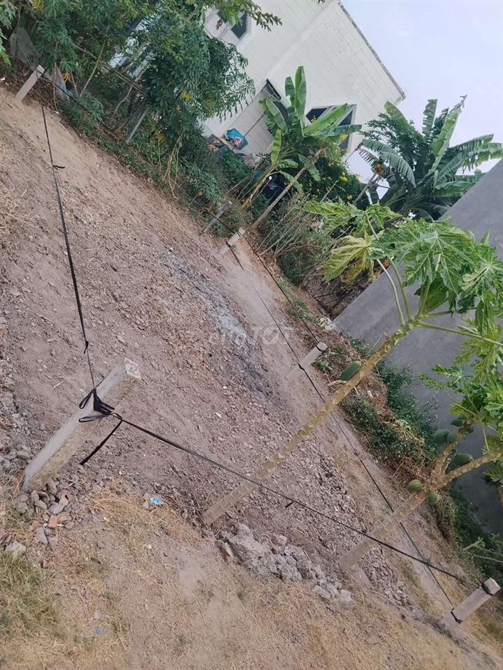 Bán đất 100% thổ cư.long an