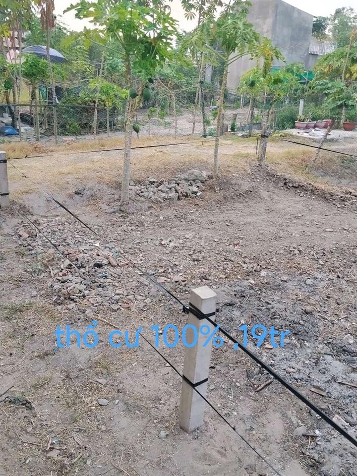 Bán đất 100% thổ cư.long an