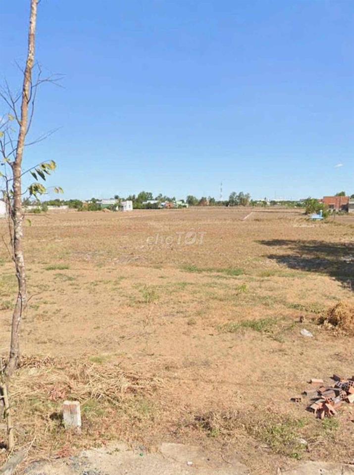 Còn lô đất rẻ Thị Trấn Cần Đước, Long An cũ cách tỉnh lộ 826 50m