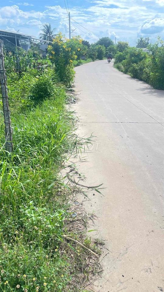 cần bán gấp
