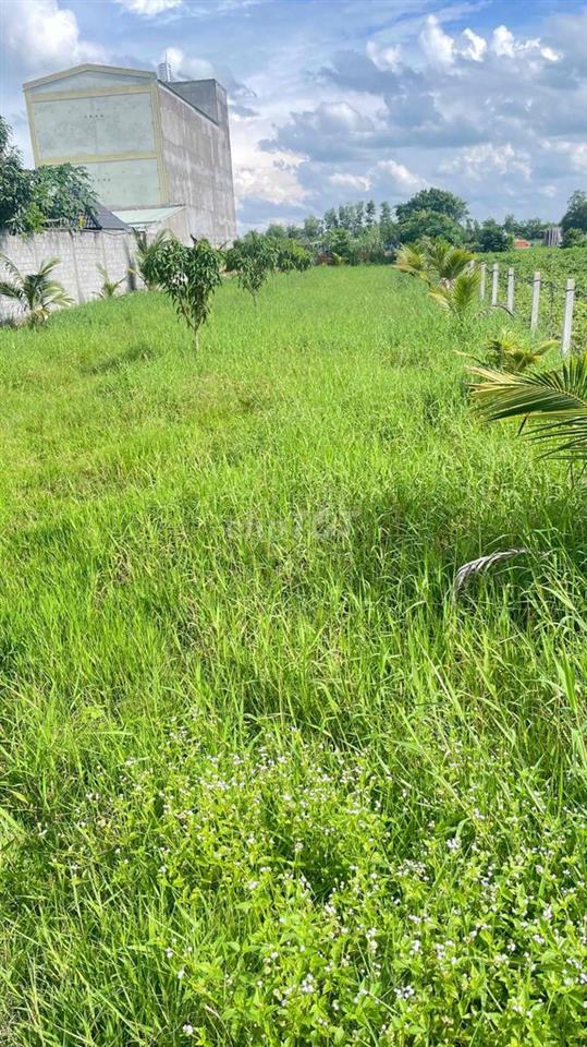 cần bán gấp