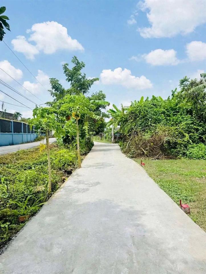 Ngộp 750tr/113m2 thổ cư MT Huỳnh Thị Luông Cần Giuộc cách DT835 500m