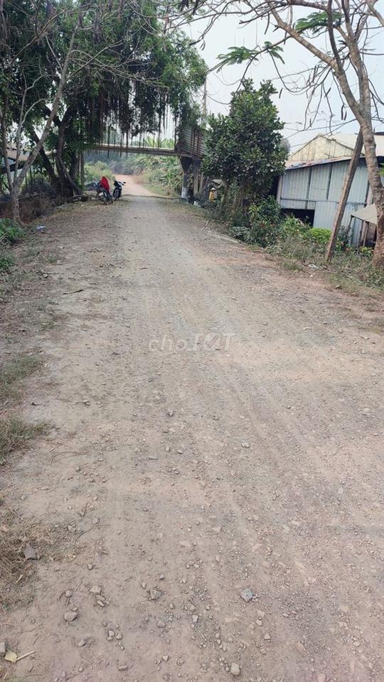 Bán Đất Thổ Cư 6000m2 + 38000m2 ruộng lúa
