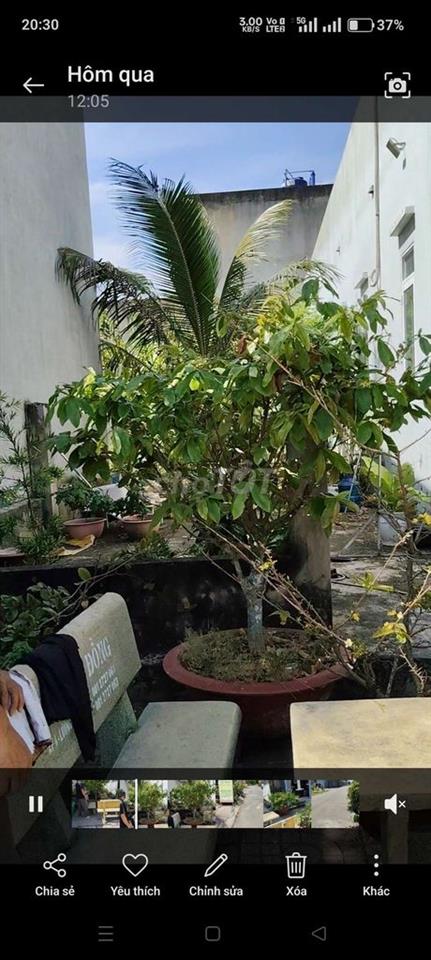 chính chủ