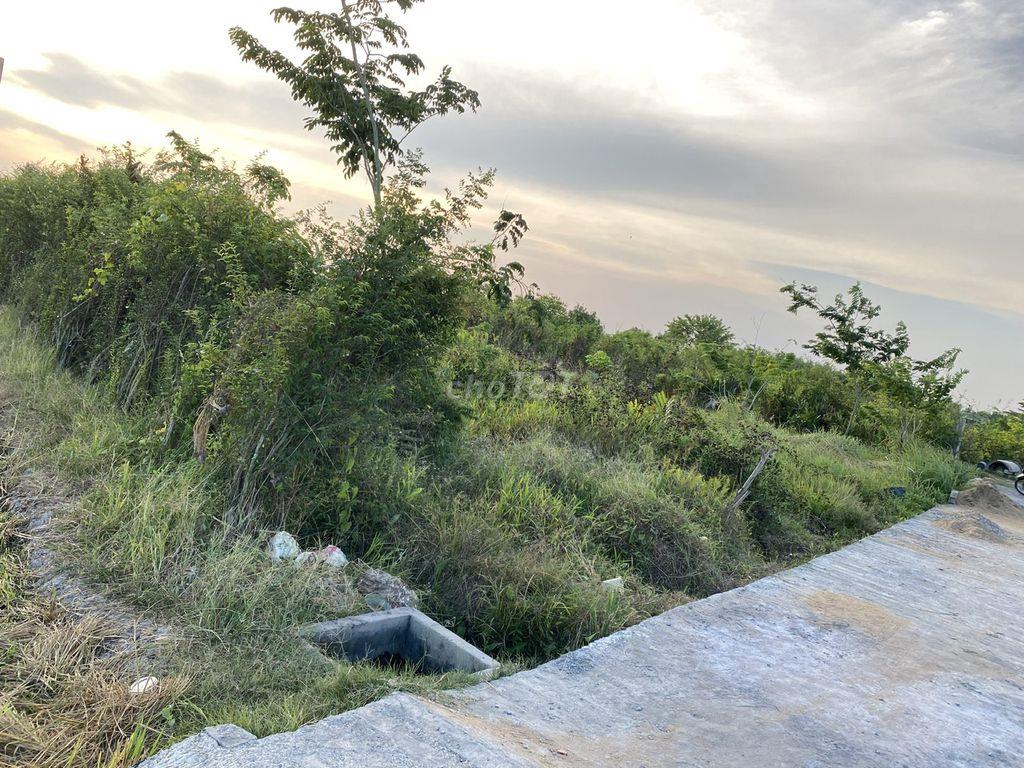 Bán đất lúa khu Nhơn Thạnh Trung, ô tô vào tới đất, thông DT833
