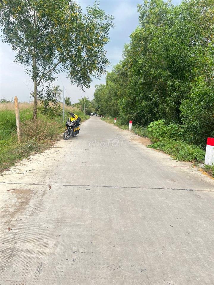 Đất xây nhà vườn N2
