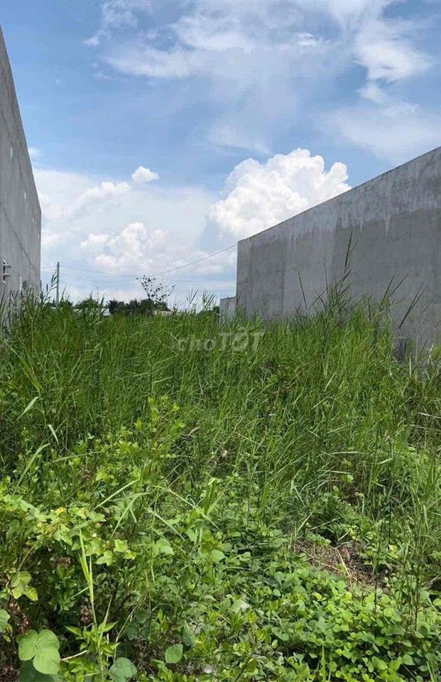 bán đất nền