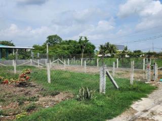 Chính chủ bán đất 131m2 tại ấp Lộc Tiền, xã Mỹ Lộc, huyện Cần Giuộc