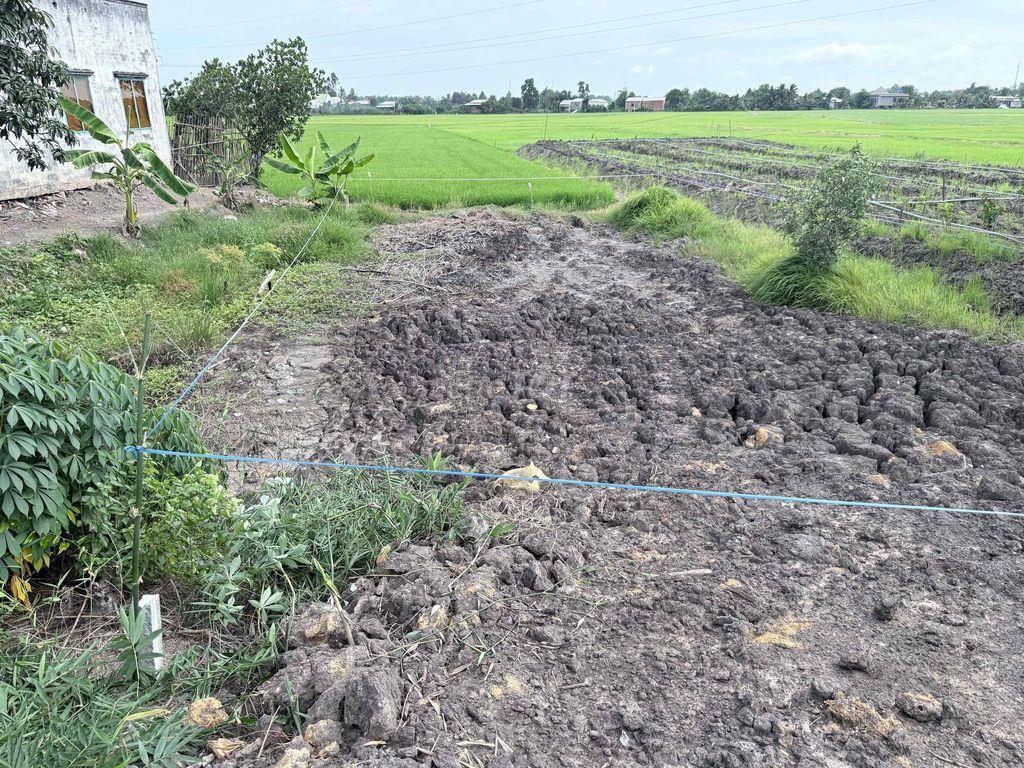 Cần Bán Đất Full Thổ Cư Tại Xã Tân Thạnh