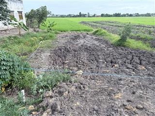 Cần Bán Đất Full Thổ Cư Tại Xã Tân Thạnh