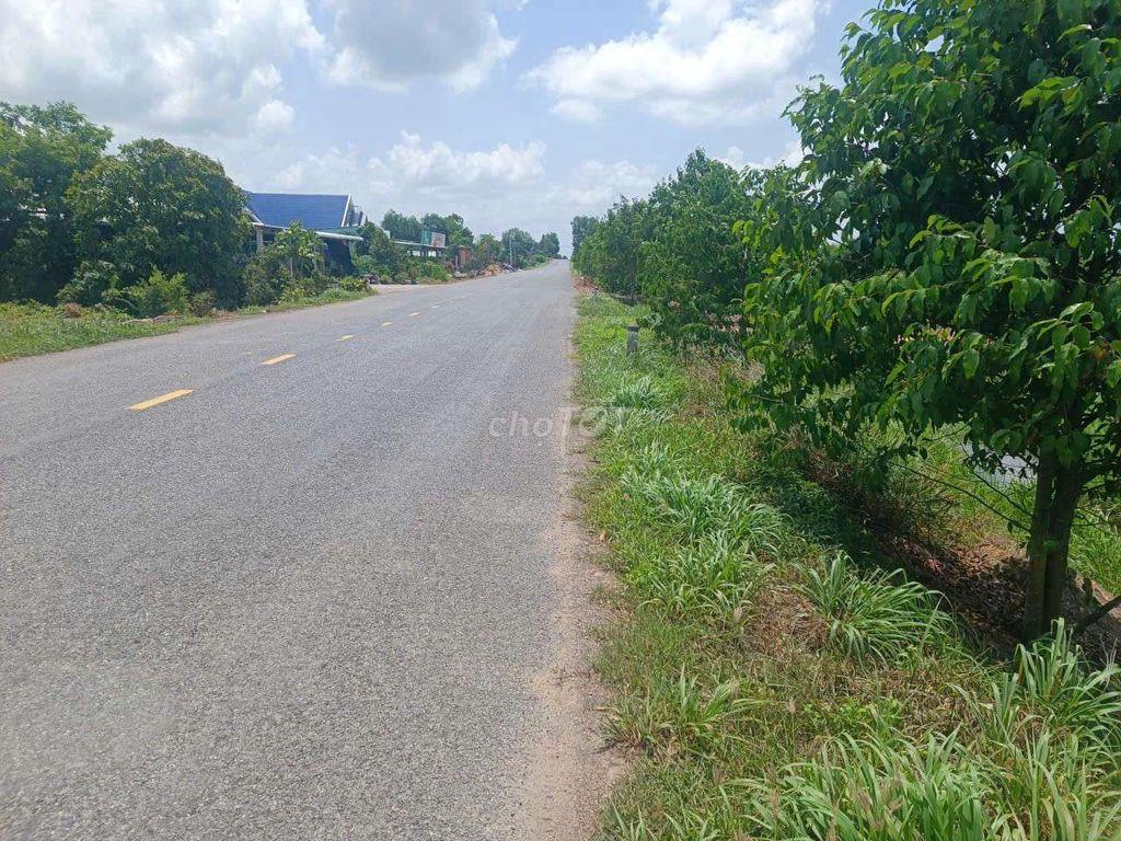 Đất lúa đường xe hơi Dt823