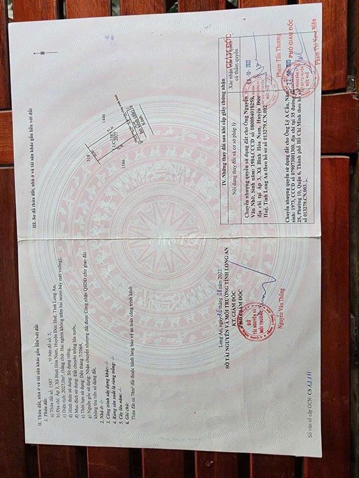 Đất lúa đường xe hơi Dt823