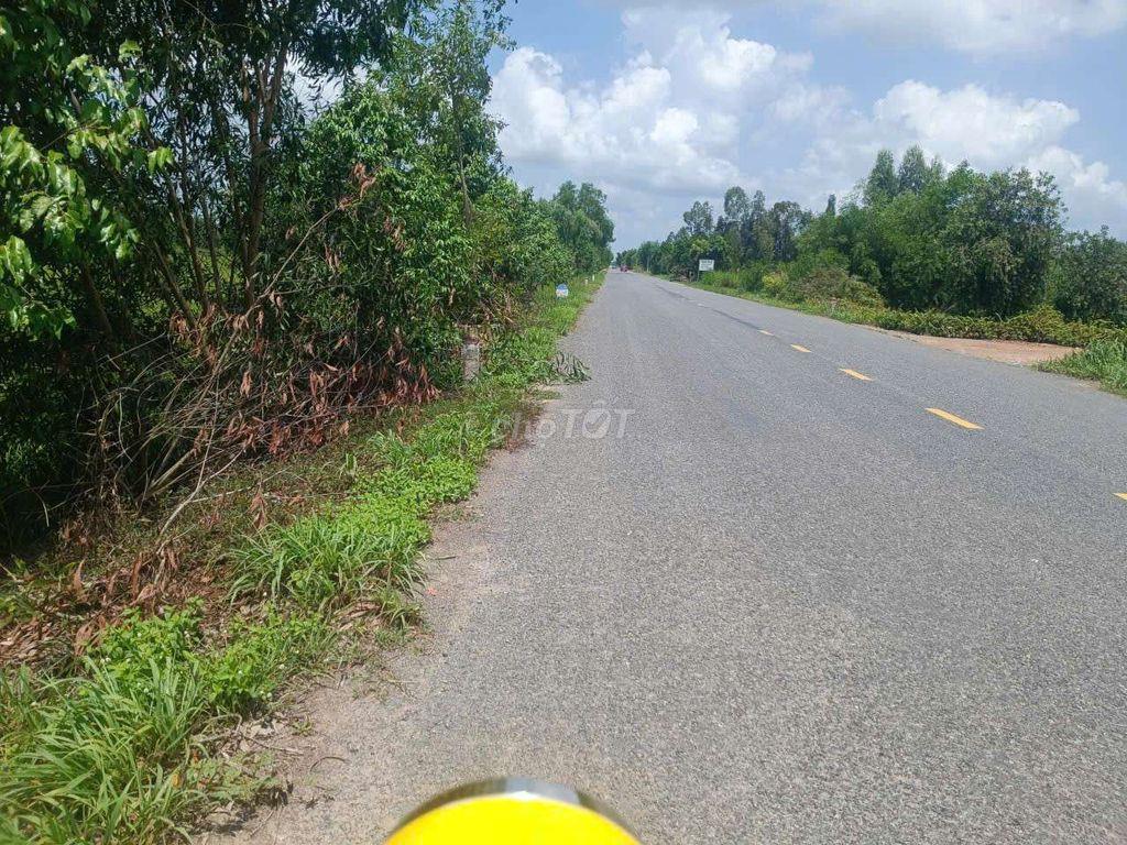 Đất lúa đường xe hơi Dt823