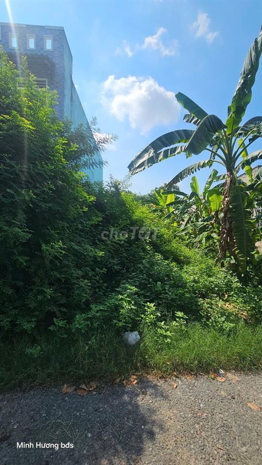 BÁN ĐẤT MỸ HẠNH NAM-ĐỨC HÒA-LONG AN