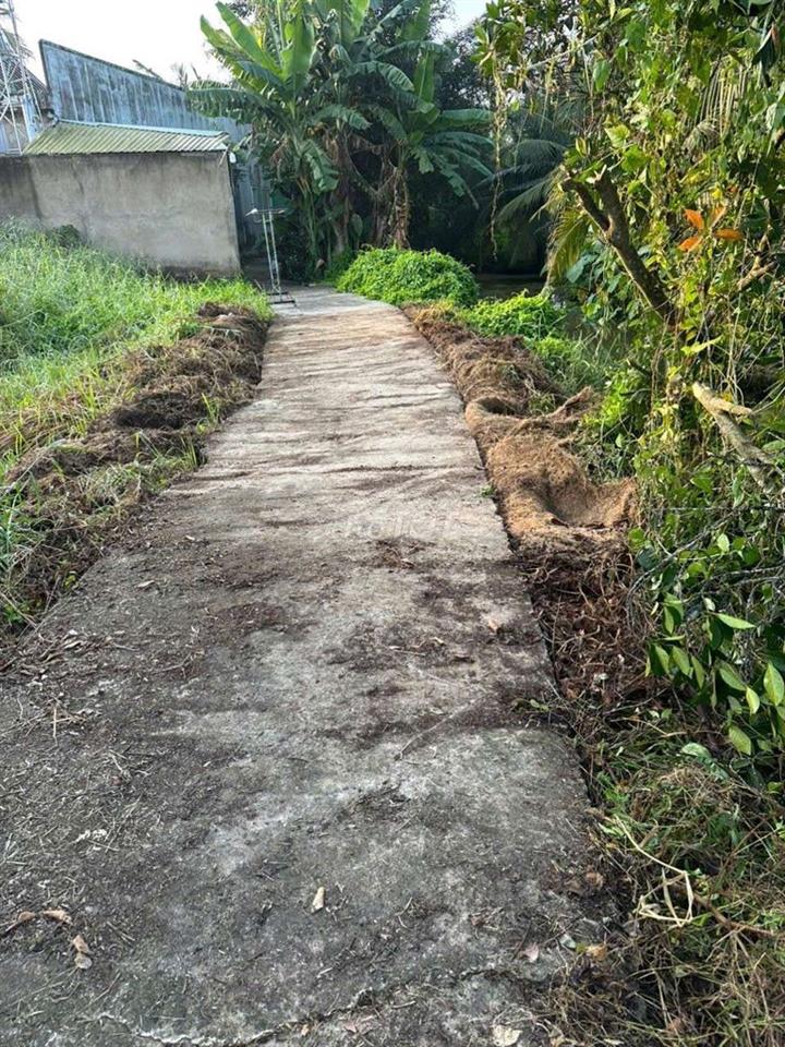 cân bán đất tân an