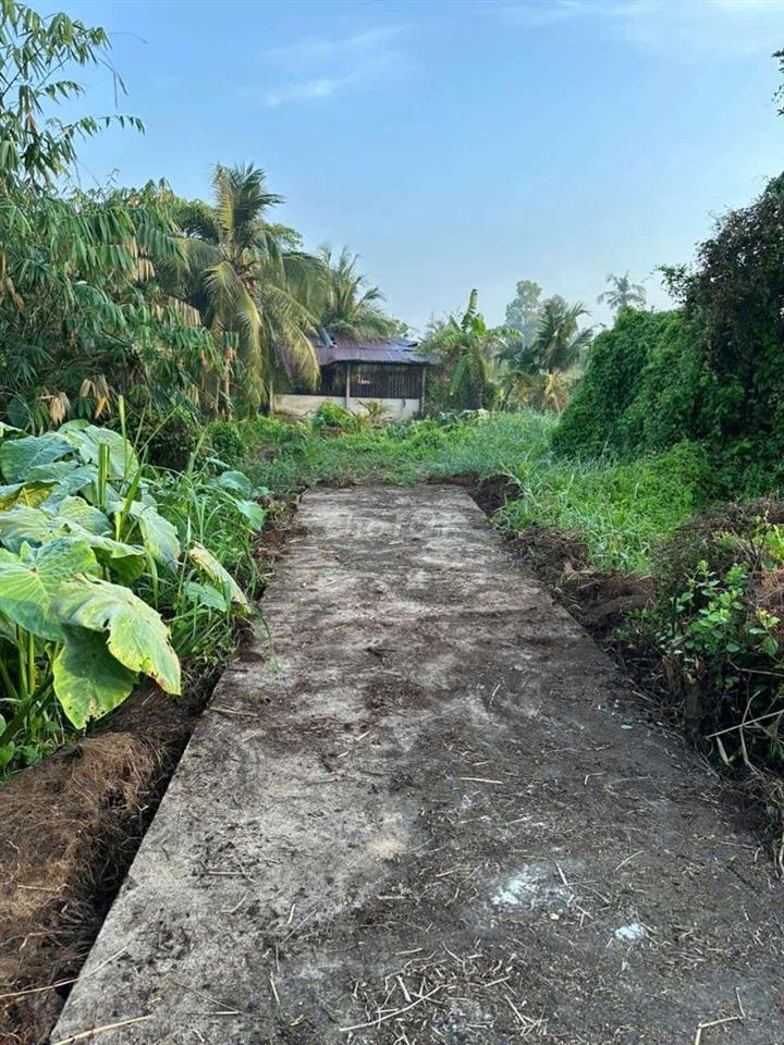 cân bán đất tân an