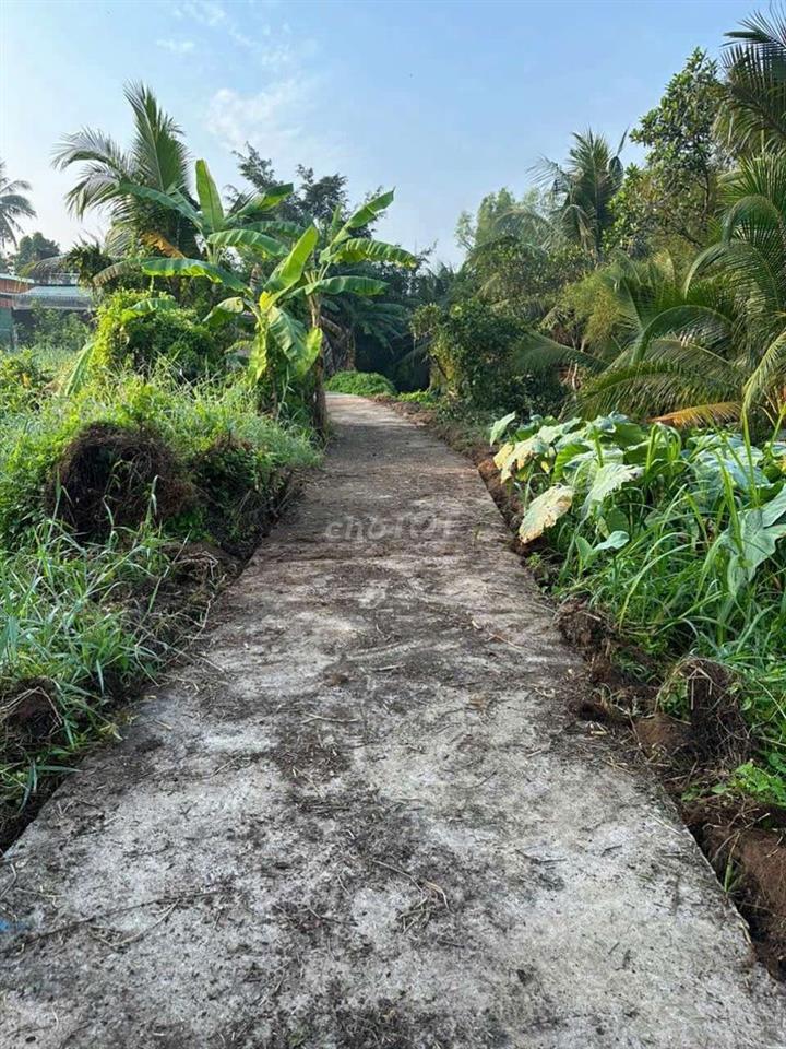 cân bán đất tân an